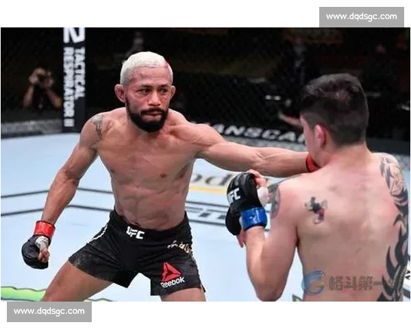 UFC小菊对决锤子巅峰之战技术风格与胜负前瞻解析全面深度观察